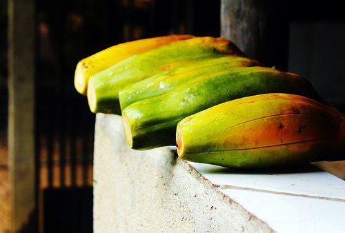 Papaya