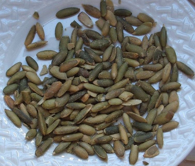 shelled and roasted pumpkin seeds in a white rounded2 plate